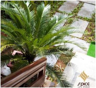 Spice Holidays Hotel Kochi Buitenkant foto